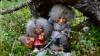 Dolls